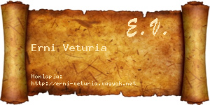Erni Veturia névjegykártya